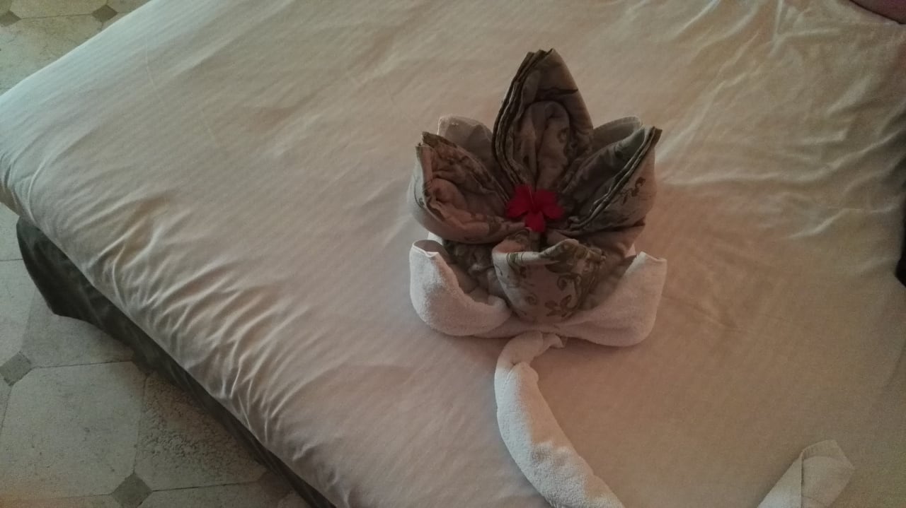 Zimmer Ghazala Gardens