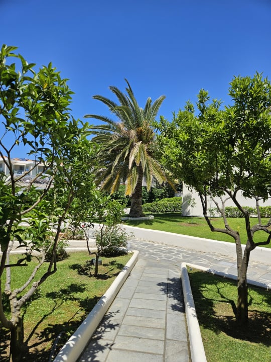 Gartenanlage Alexandra Beach Thassos Spa Resort