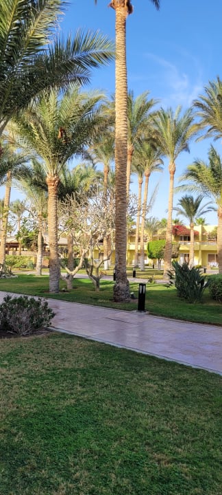 Gartenanlage Palm Beach Resort