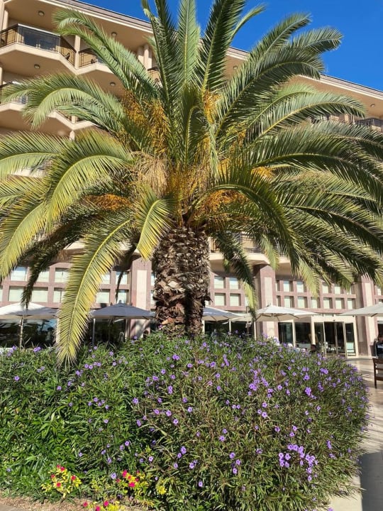 Gartenanlage Xanadu Resort Hotel