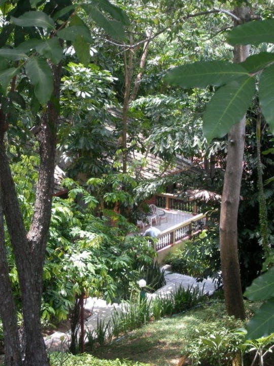 Unser Standard Bungalow im Dschungel The Fair House Beach Resort