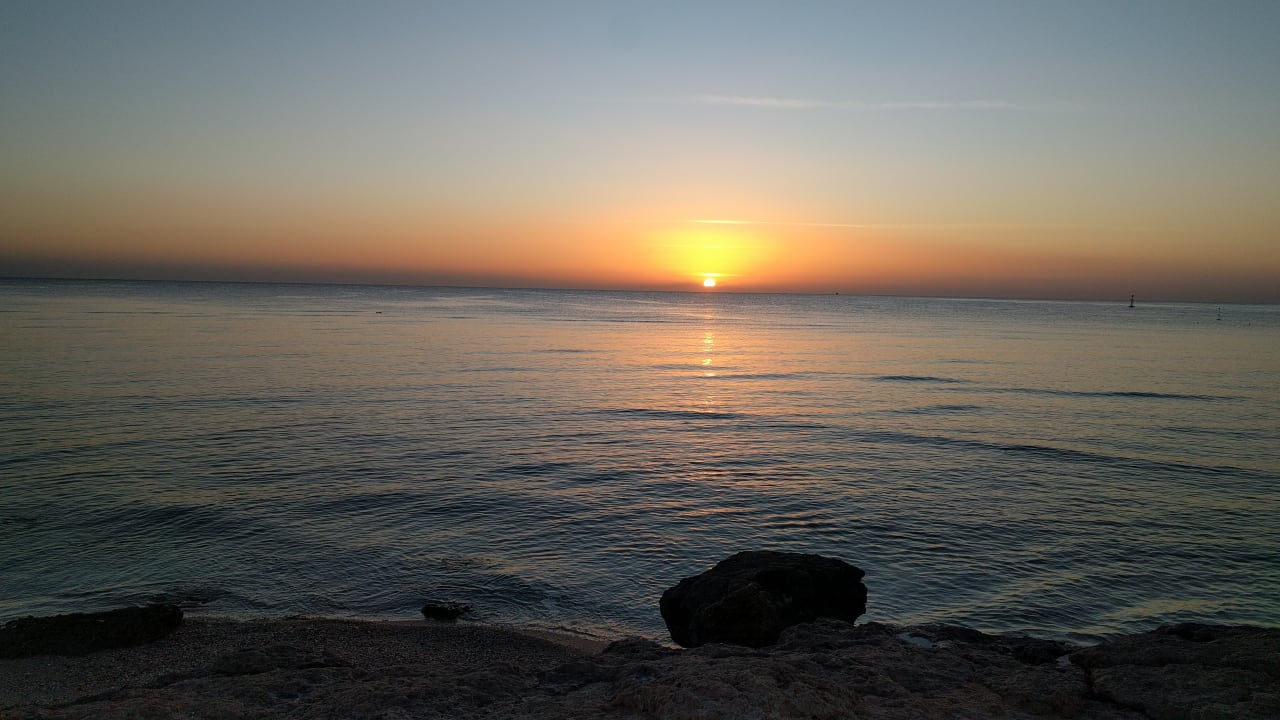Strand Pickalbatros Palace Hotel-Port Ghalib