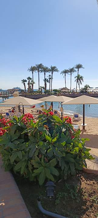 Strand Marriott Hurghada Beach Resort