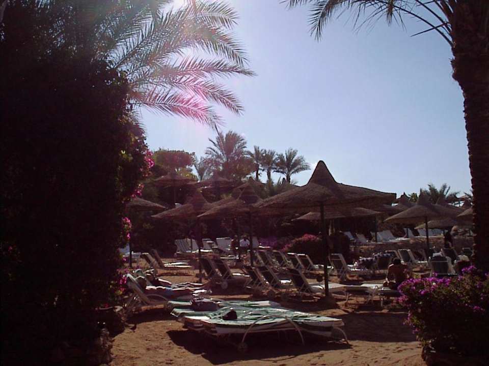Vista spiaggia Royal Holiday Beach Resort & Casino