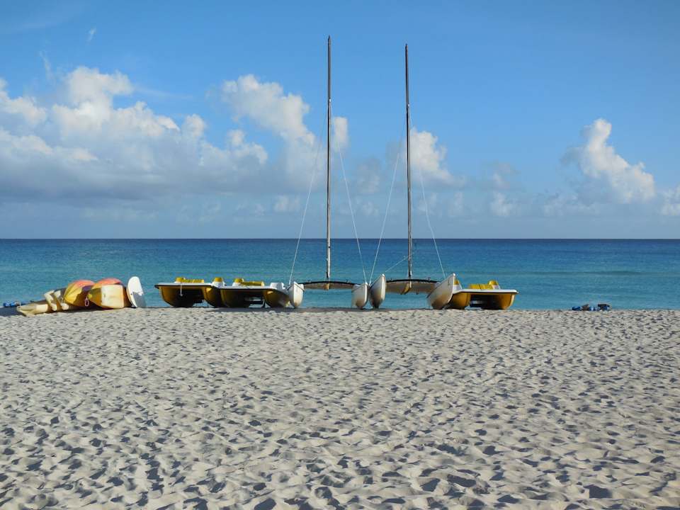 Kostenlose Aktiviäten - örtlicher Anbieter Blau varadero - Adults only