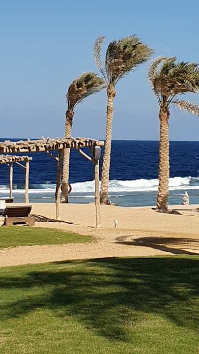 Strand Steigenberger Resort Alaya Marsa Alam - Red Sea - Adults only