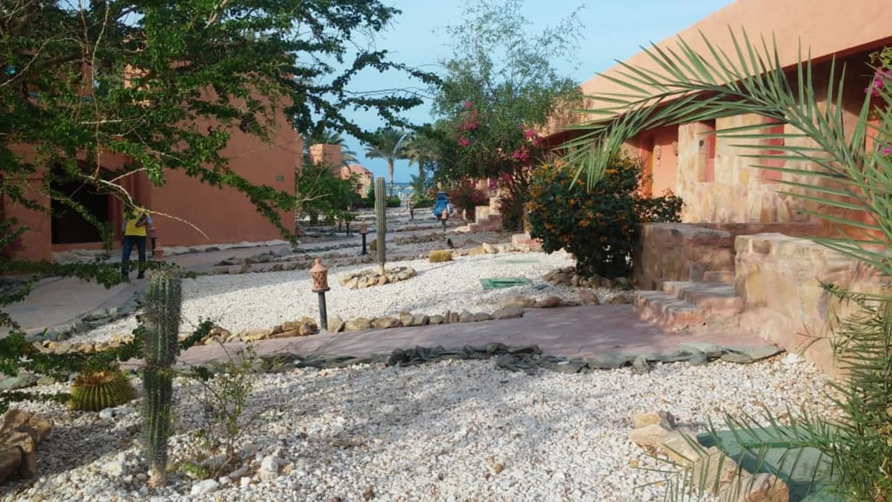 Teren Hotelu Swisstouch Oriental Resort Marsa Alam