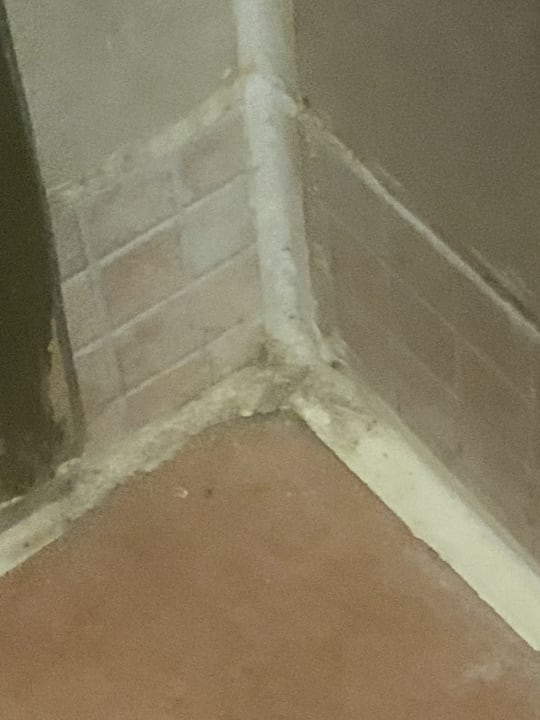 Zimmer Shams Alam Beach Resort