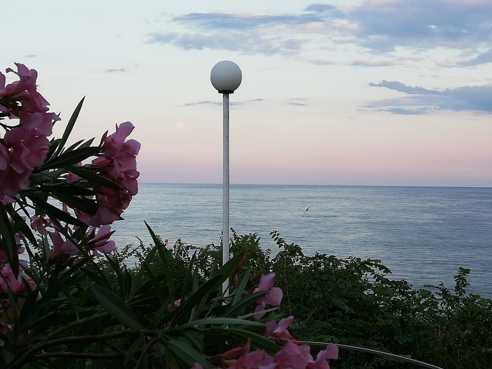 Ausblick Hotel Sineva Beach