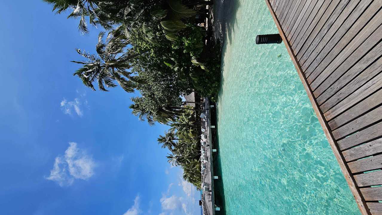 Gastro Vilamendhoo Island Resort & Spa