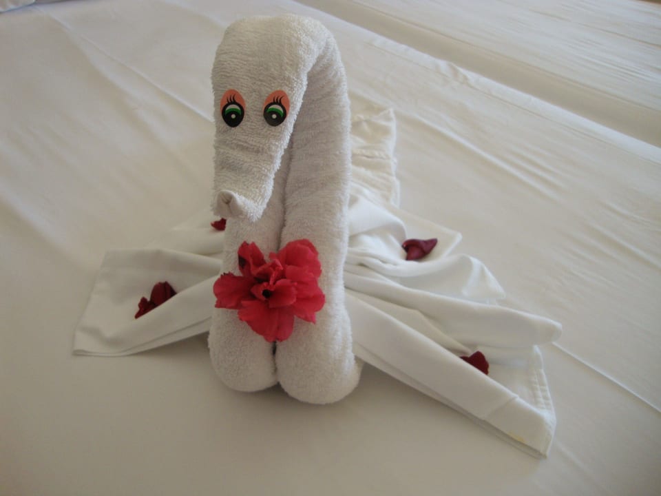 Handtuchkunst vom Zimmermädchen Hotel Riu Palace Riviera Maya