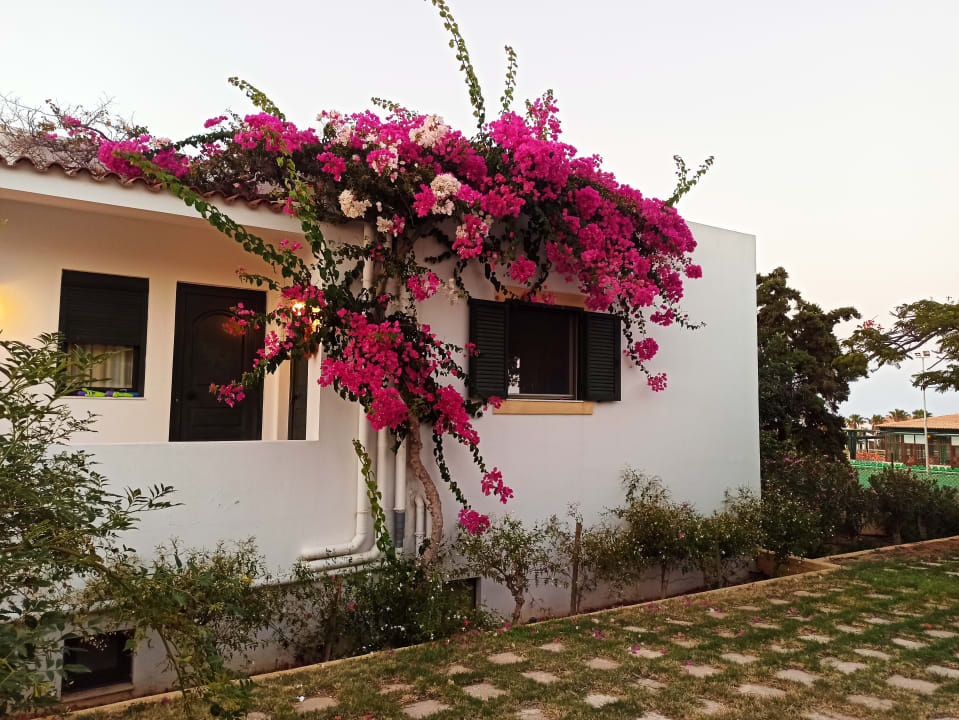 Zimmer TUI SUNEO Chrissi Amoudia