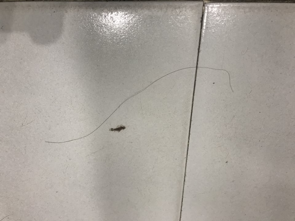 Zimmer Estival Park Silmar