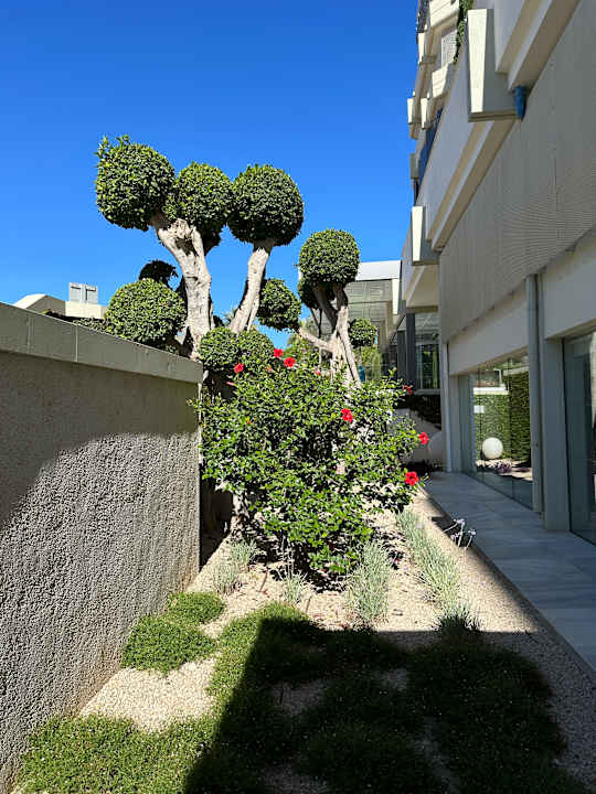 Außenansicht Hipotels Mediterraneo