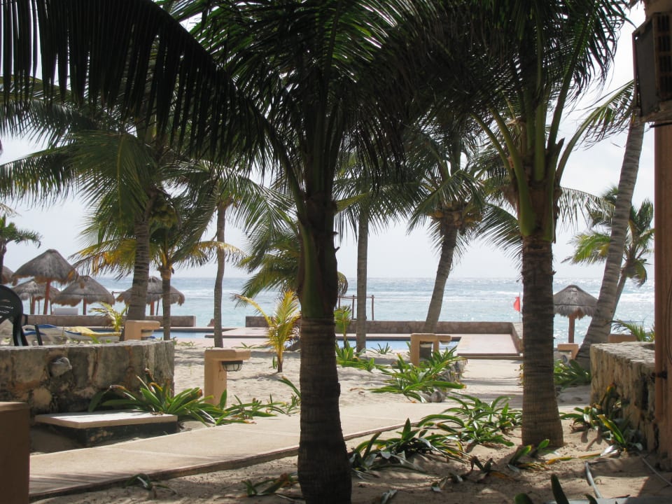 Unsere Terrasse Grand Oasis Tulum Riviera - All Inclusive