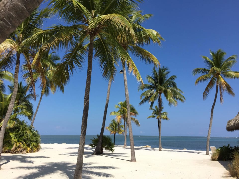 Hotel-Strand Postcard Inn Beach Resort & Marina @ Holiday Isle