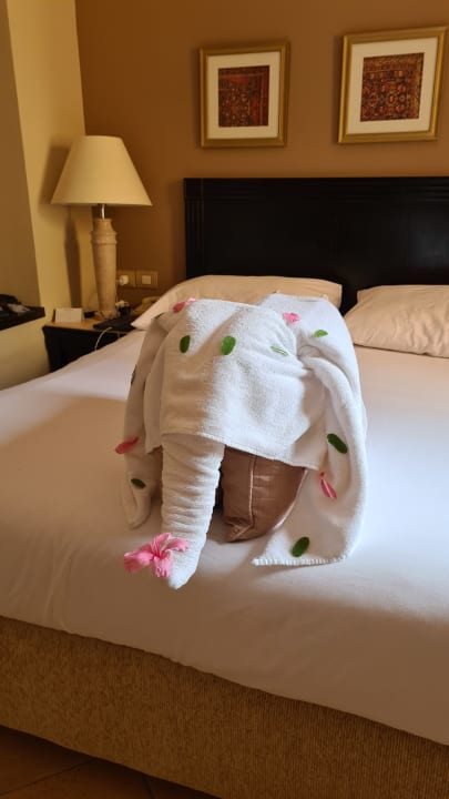 Zimmer Steigenberger Coraya Beach - Adults only