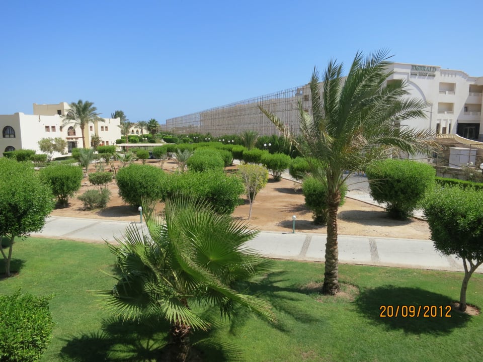 Zimmerblick Desert Rose