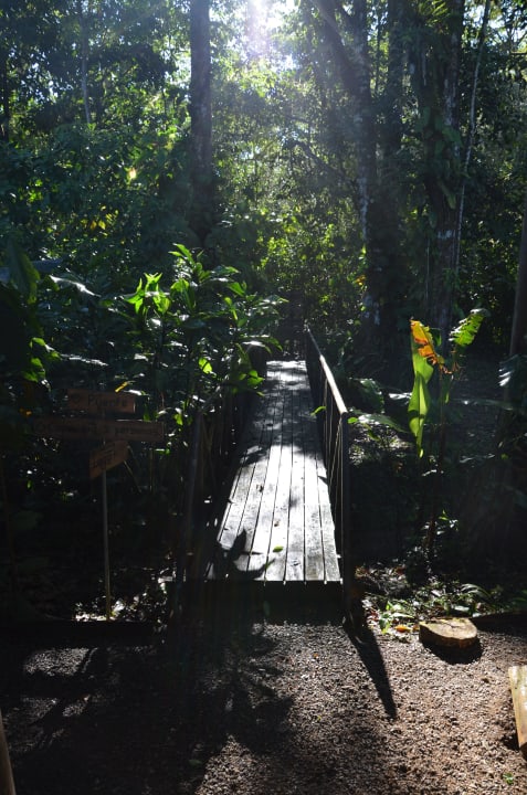 Kleine Brücke über den Bach Danta Corcovado Lodge