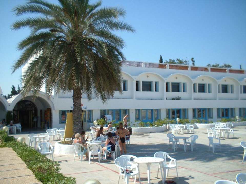 Vereinzeltes Grün The Club Hammamet