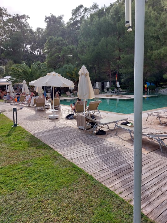 Pool TUI BLUE Seno - Adults Only