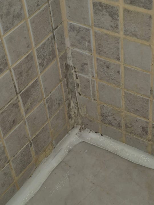 Zimmer Marvida Family Eco