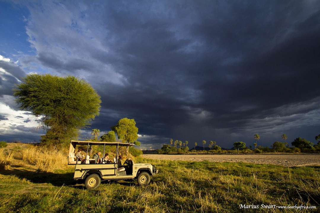Game drive Kwihala Tented Camp Ruaha