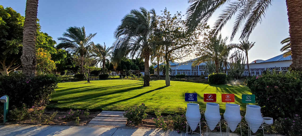 Gartenanlage Desert Rose