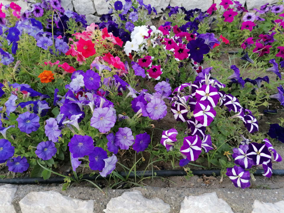 Gartenanlage Rodos Palladium Leisure & Wellness