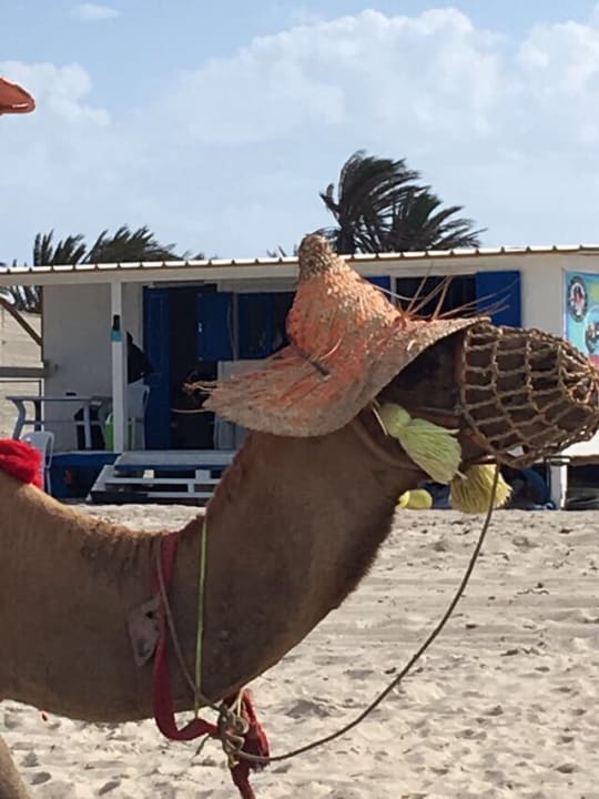 Strand Calimera Yati Beach