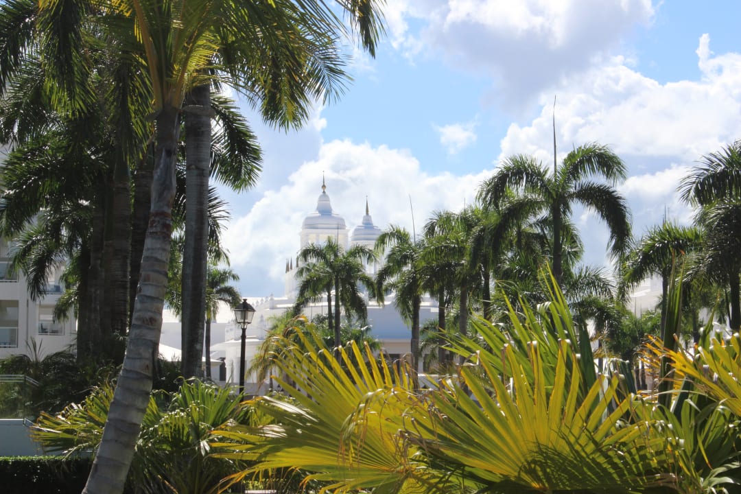 Gartenanlage Hotel Riu Palace Punta Cana