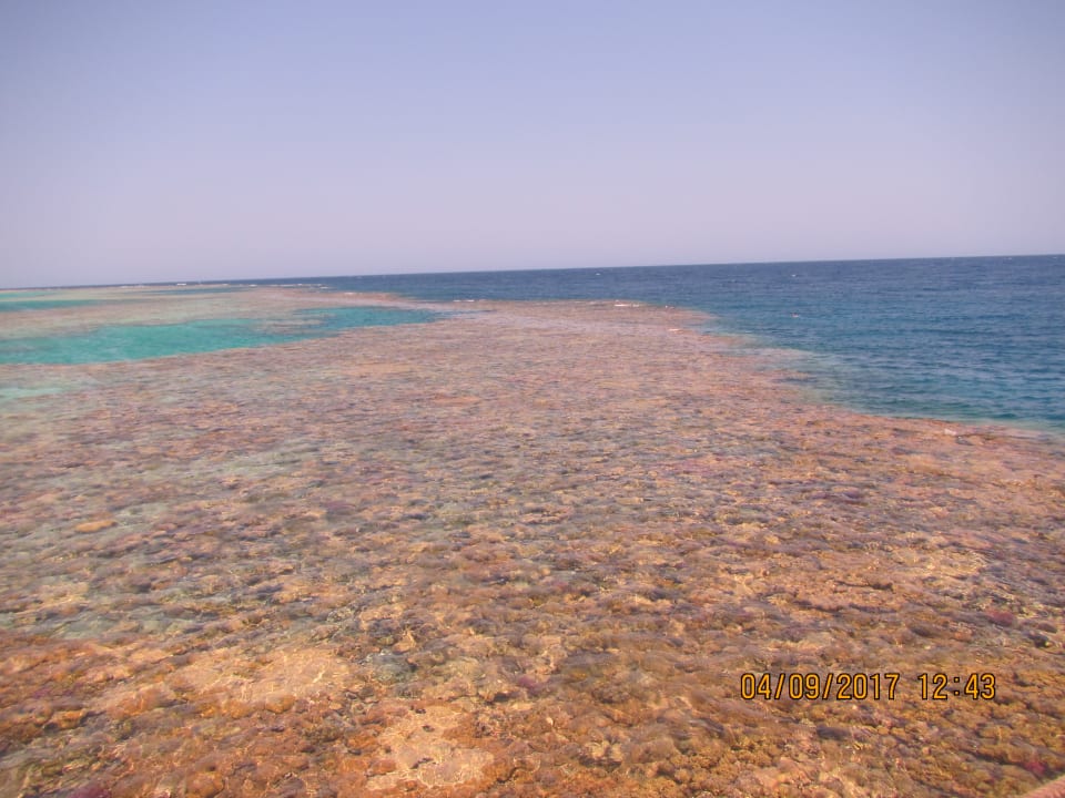 Strand Hotel Gorgonia Beach Resort