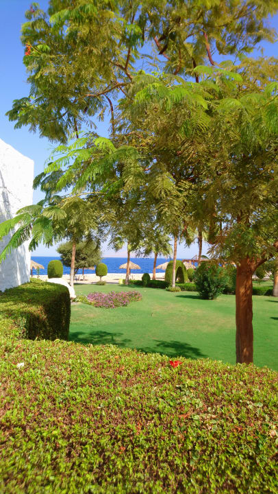 Garten Sharm Club Beach Resort