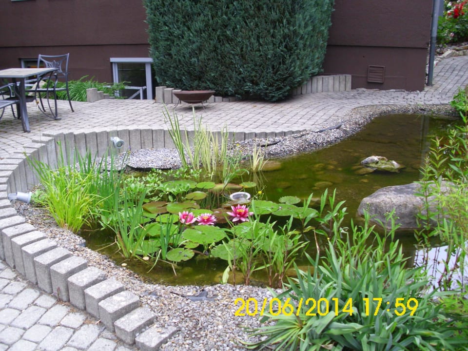 Kleiner Teich Parkhotel Heidehof