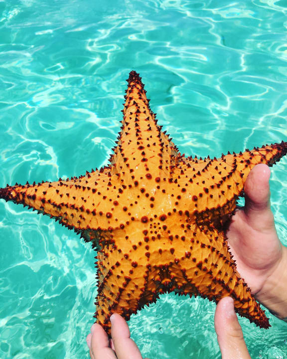 Strand Villas Bavaro Resort & Spa