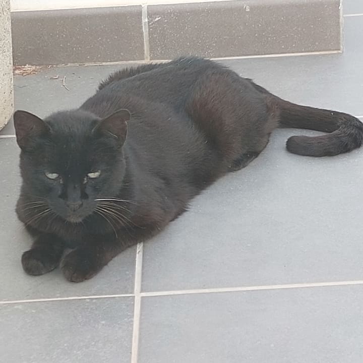 Sonstiges Hotel Hyde Park Lane