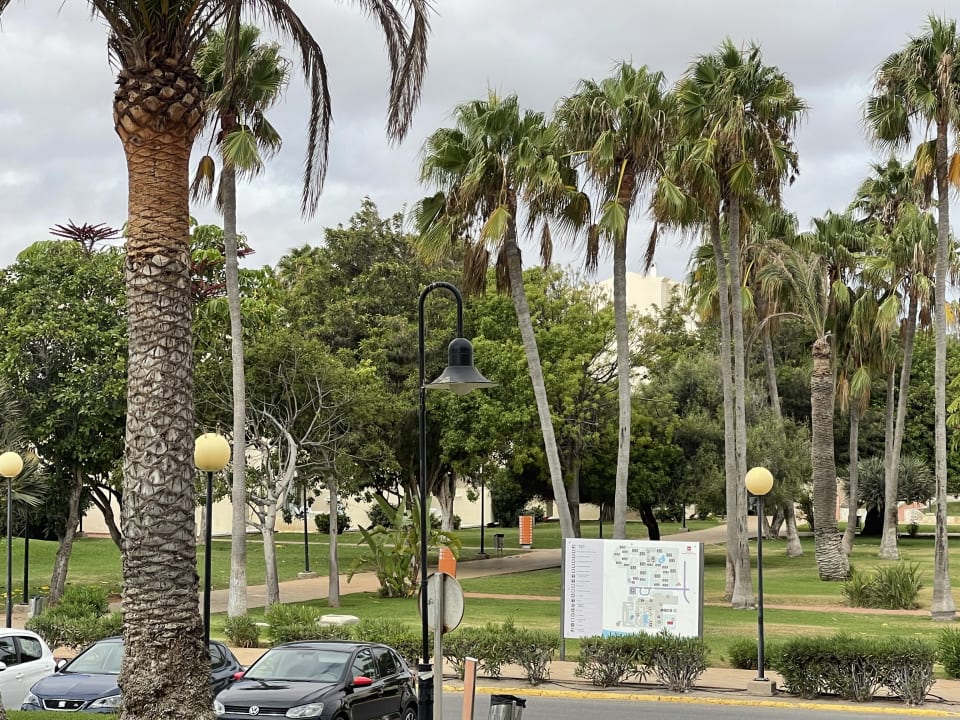 Ausblick Hotel Riu Oliva Beach Resort