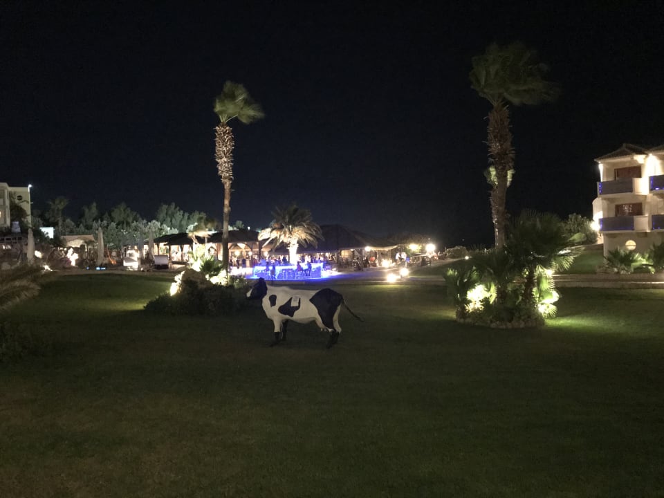 Gartenanlage Hotel Kalithea Horizon Royal