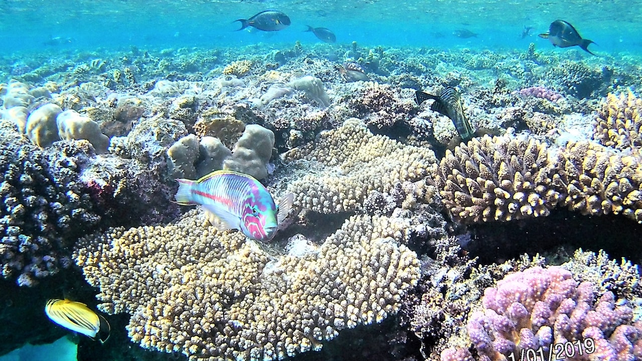 Sport & Freizeit Utopia Beach Club