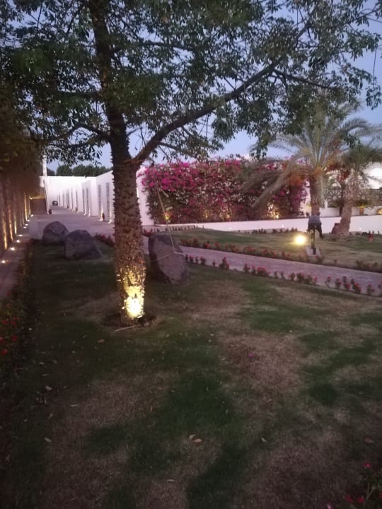 Gartenanlage Fort Arabesque Resort, Spa & Villas