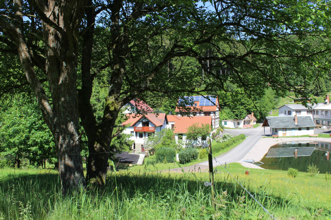 Außenansicht Ferienwohnung Nüßleshof