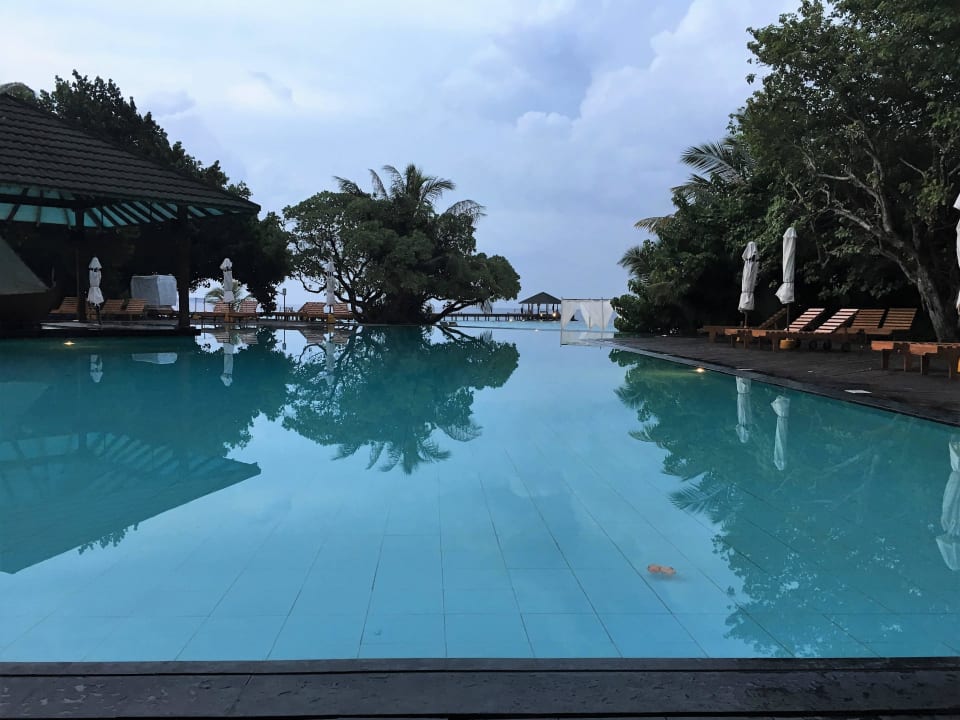 Pool Adaaran Select Meedhupparu Island Resort - Premium All Inclusive