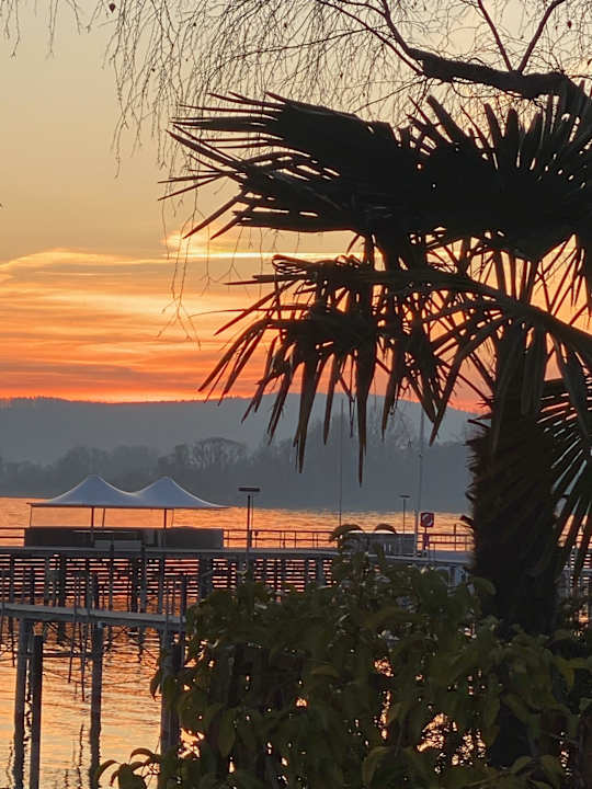 Ausblick Seehotel Adler