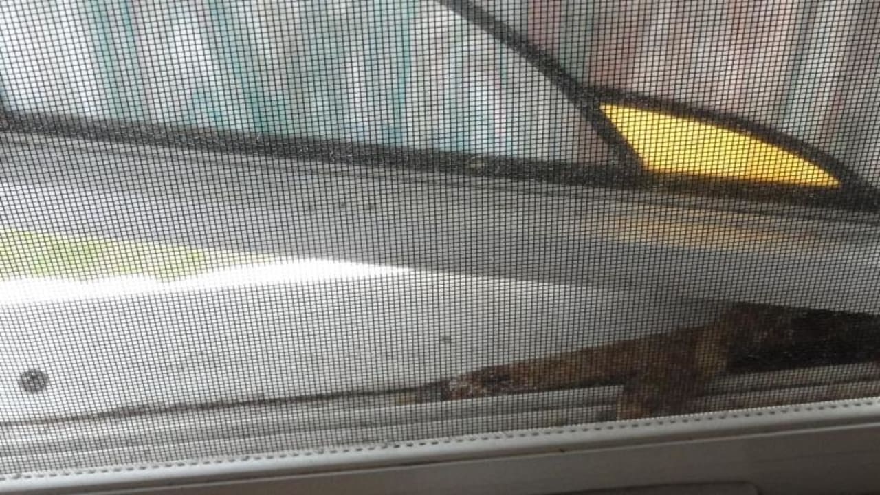 Schmutziges Fliegengitter im Badezimmer Sandals Royal Bahamian