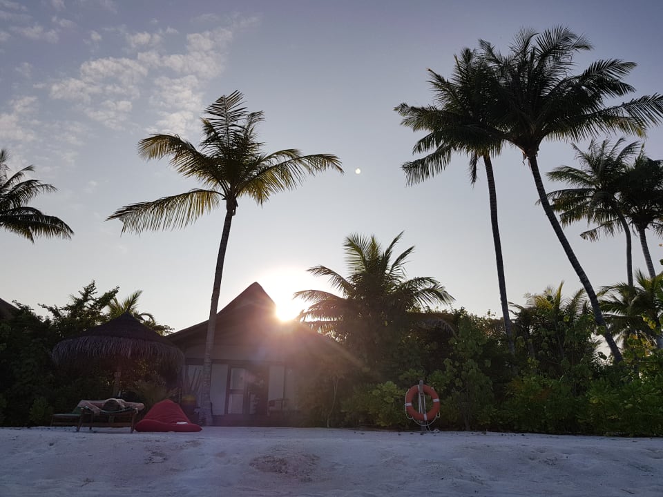 Villa  OZEN LIFE MAADHOO