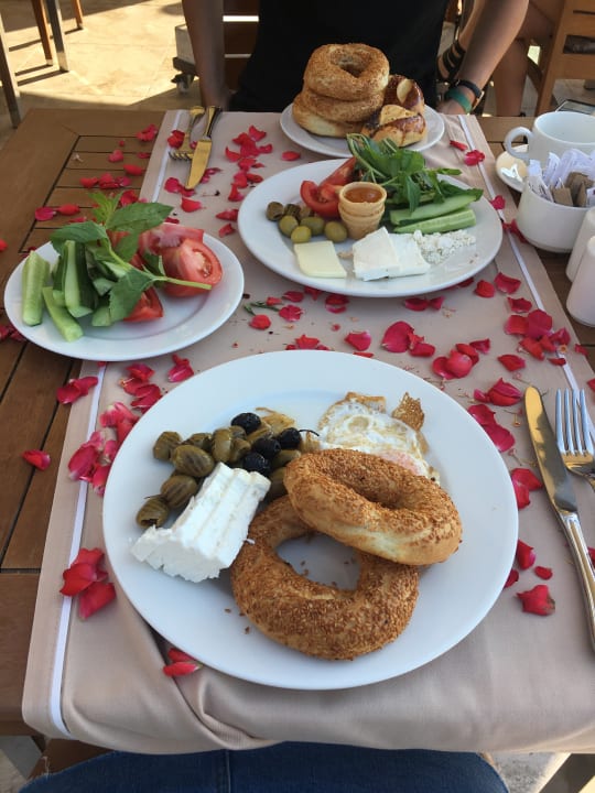 Gastro Side Star Elegance