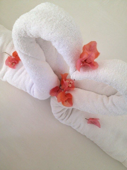 Лебеди Menaville Safaga