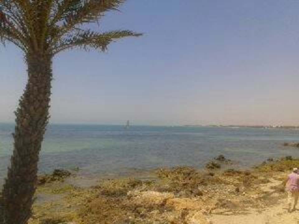 Strand am Hotel Hotel El Mouradi Djerba Menzel