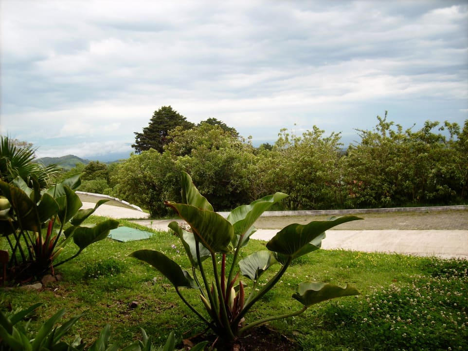 Ausblick vom Zimmer Hotel Heliconia