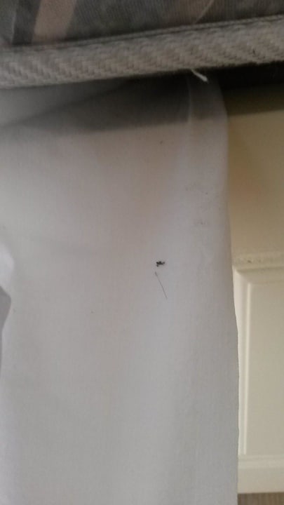 Dreckiges Laken Hotel Kalithea Mare Palace